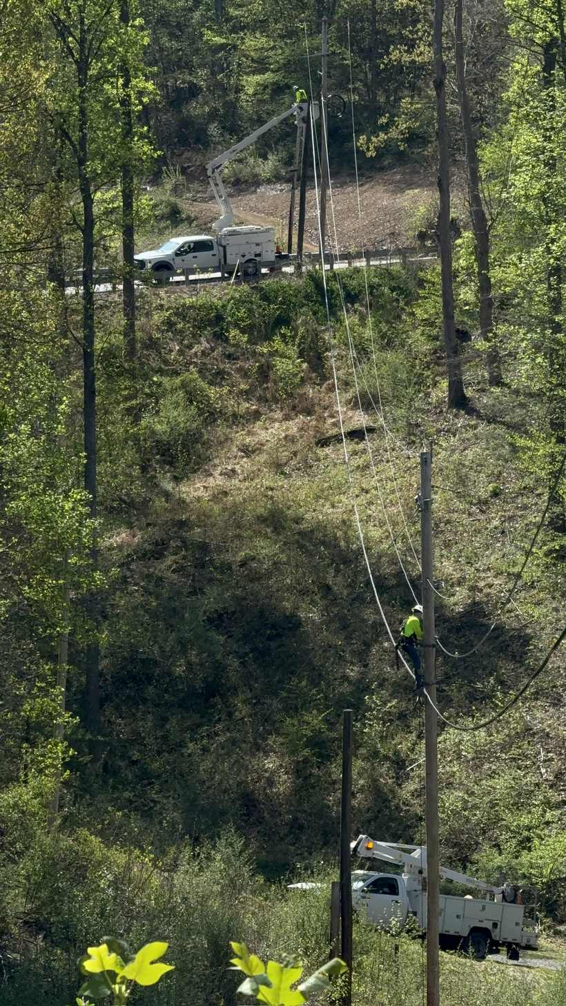 Two crews working the hillside
